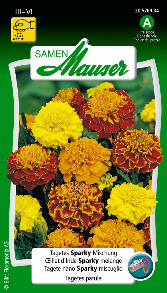 Oeillet d'Inde Sparky mélange