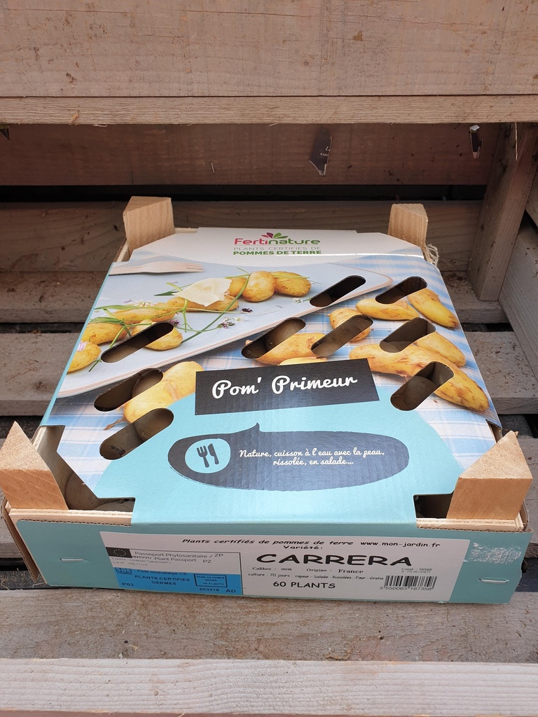 CARRERA  F/H 28/35 60PL