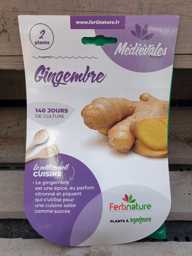 GINGEMBRE 2PL