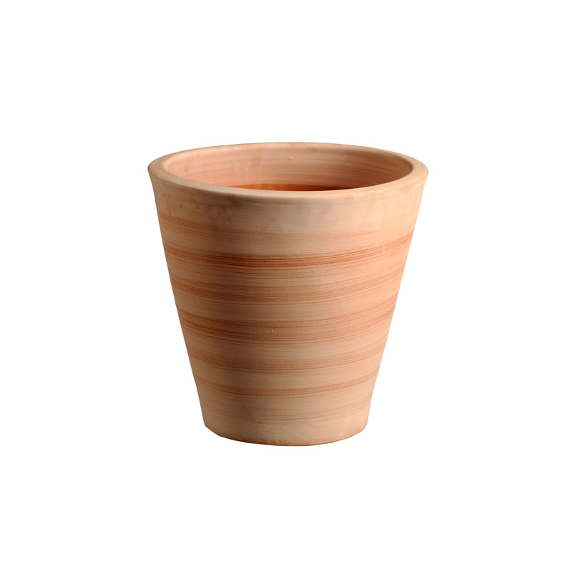 Cuvier contemporain 52*52