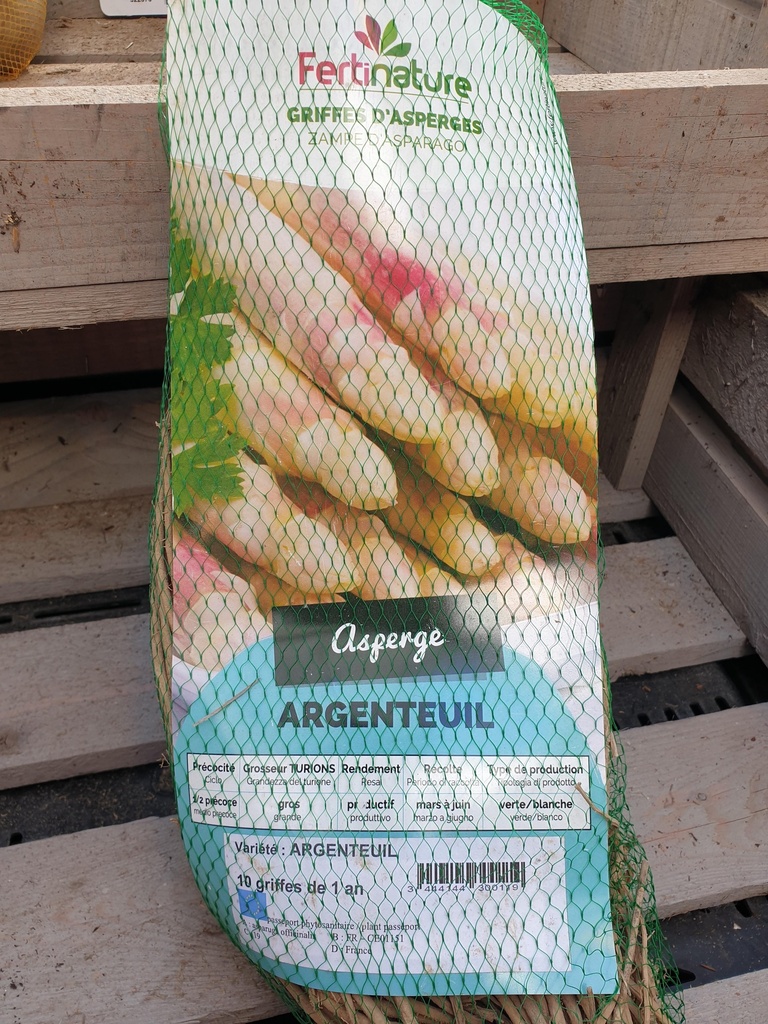 ASPERGE ARGENTEUIL X10