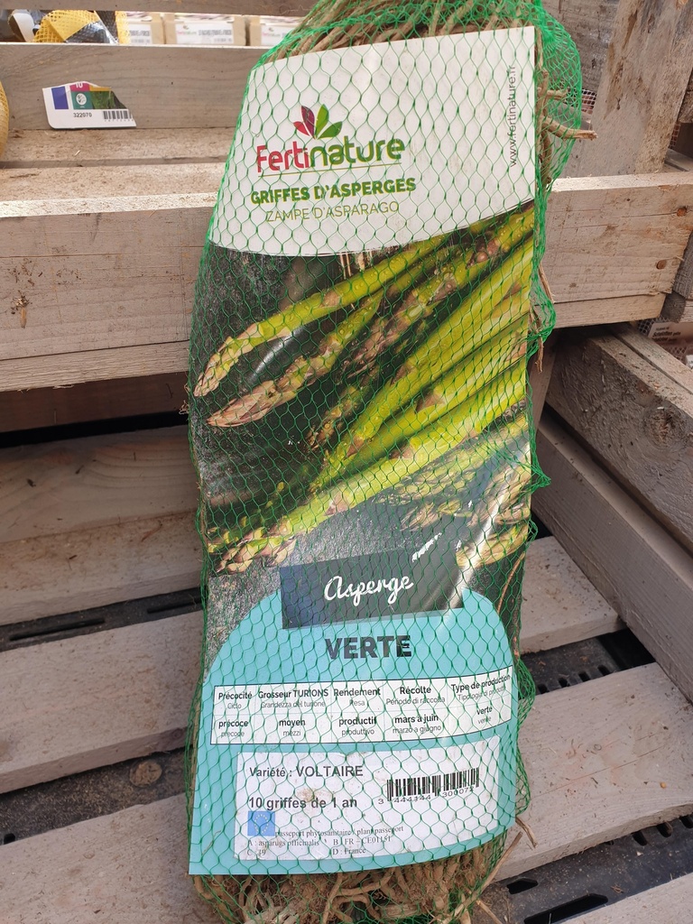 ASPERGE VERTE (VOLTAIRE) X10