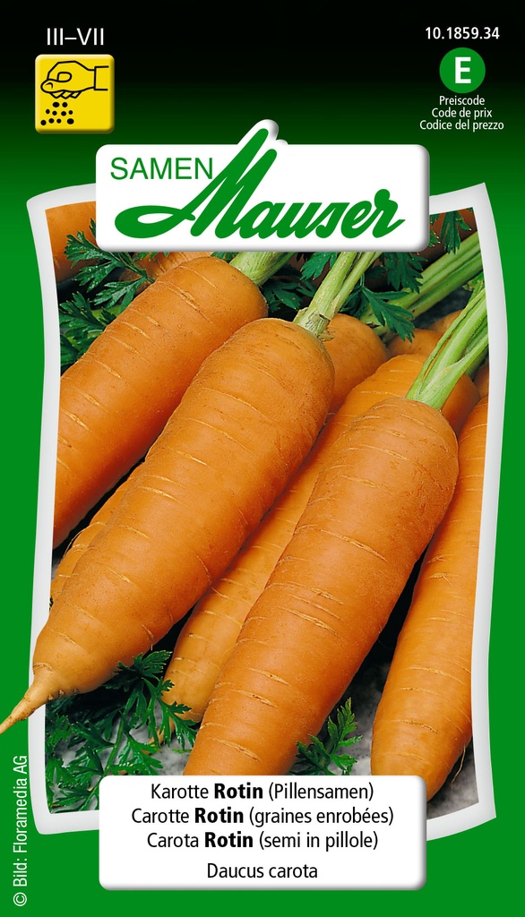 Carotte Rotin (graine enrobée)