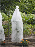 TOMATO COVER lot de 3 housses de croissance voile 17g avec arceaux