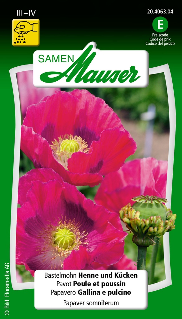 Pavot Hen and Chicken