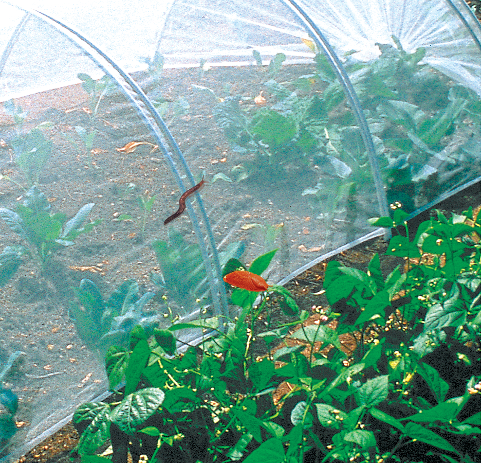 BIOCONTROL Filet anti-insectes