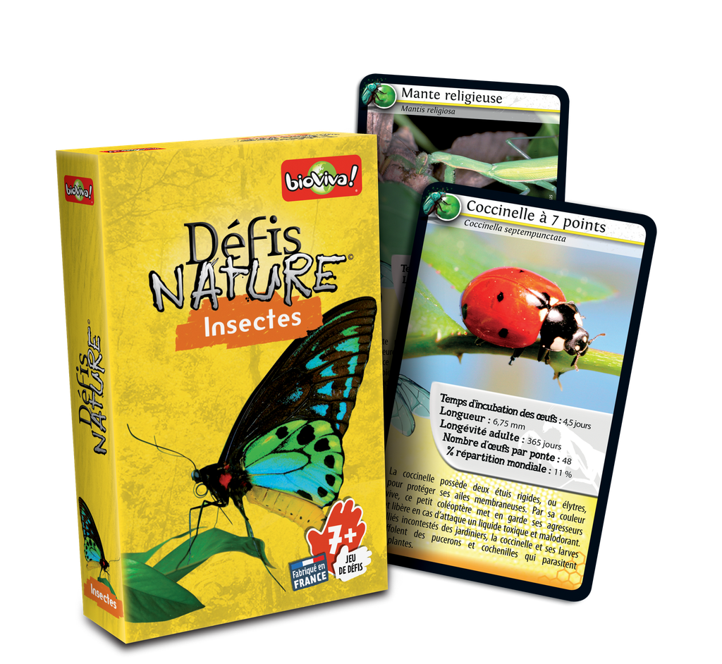 Defis Nature Insecte