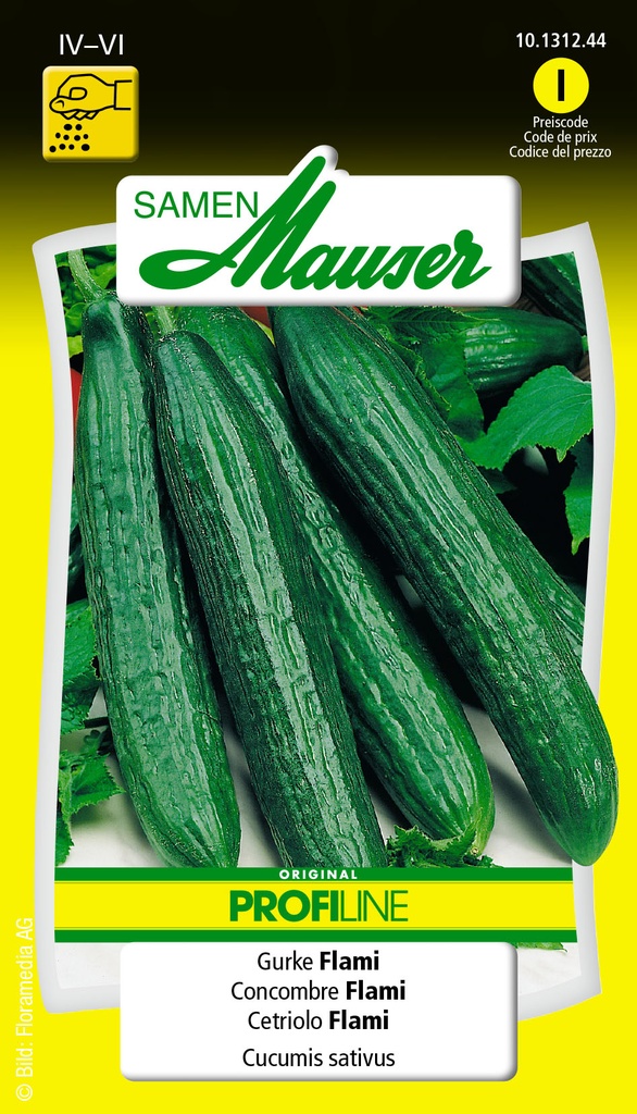 Concombre a salade Selma-flami