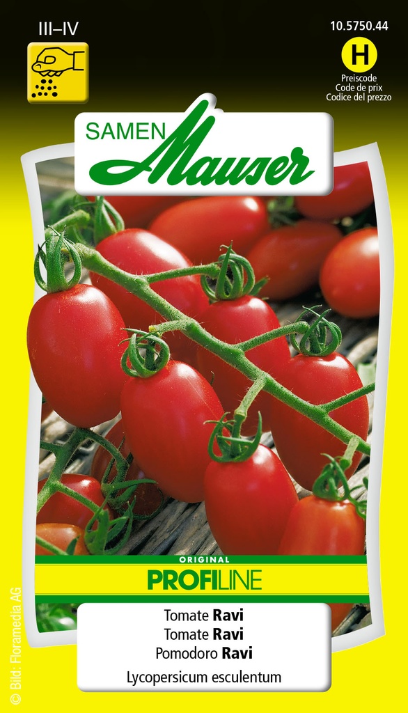 Tomate grimpante- Selma Ravi (Ravello) F1