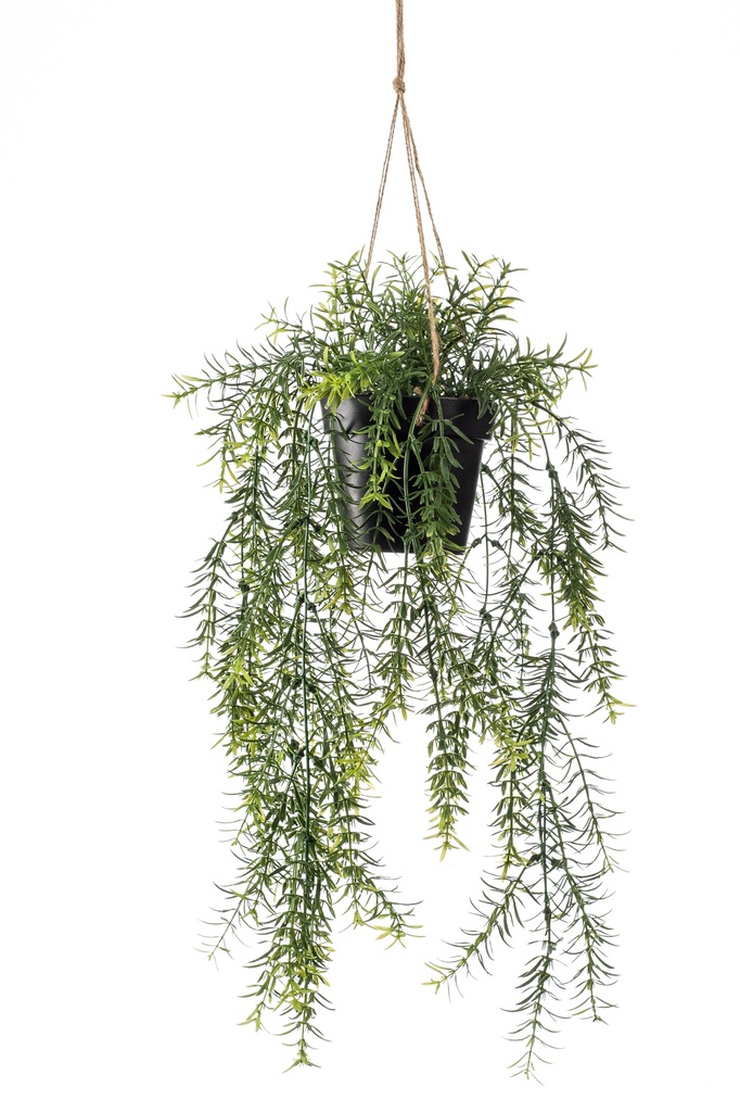 Asparagus en pot à suspendre artificiel