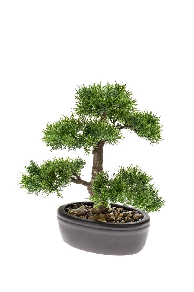 Bonsai Cèdre artificiel coupe ovale brune