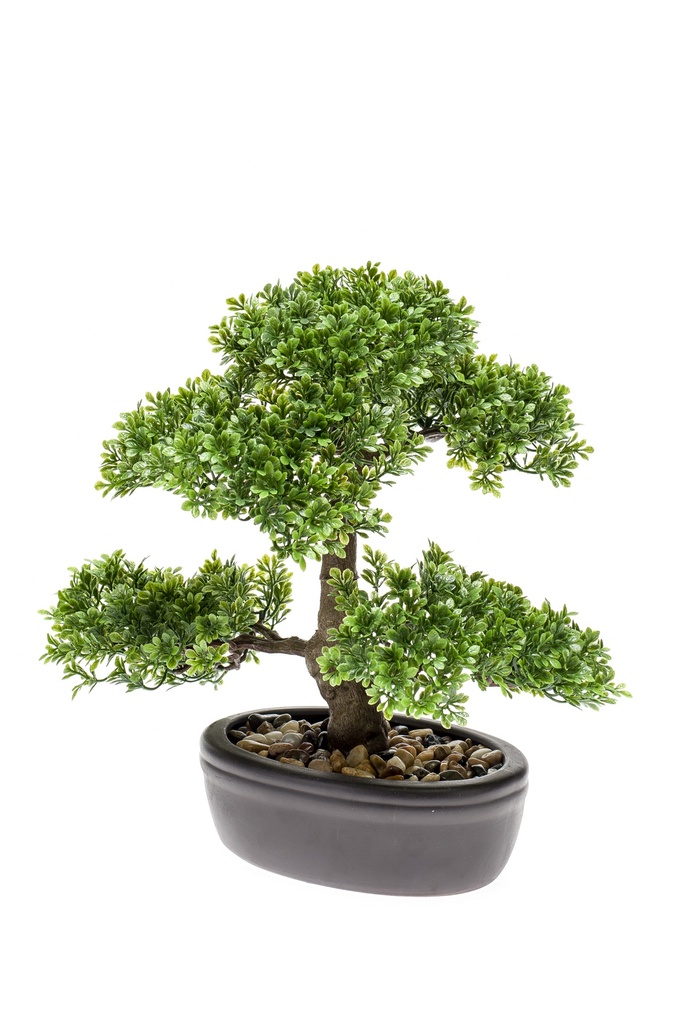 Bonsai Ficus artificiel coupe ovale brune