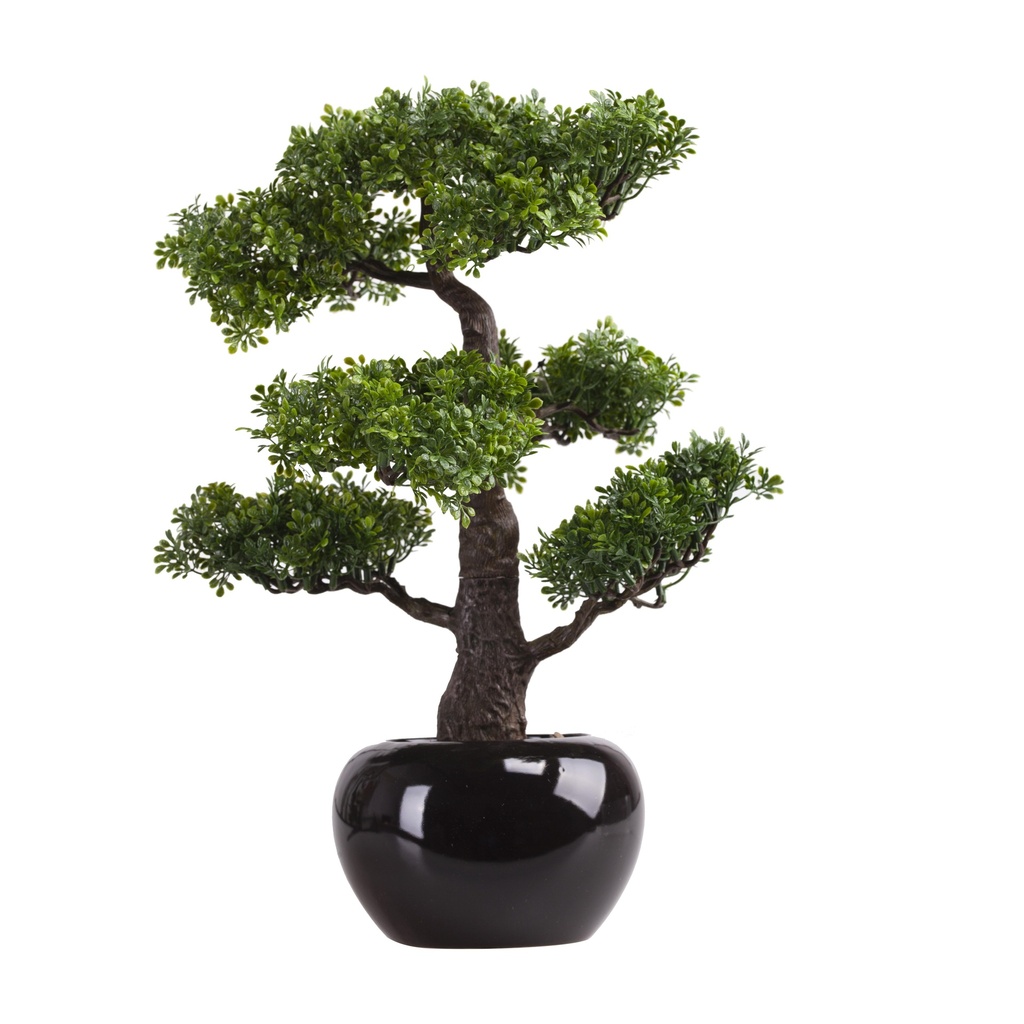 Bonsai Ficus artificiel pot rond noir
