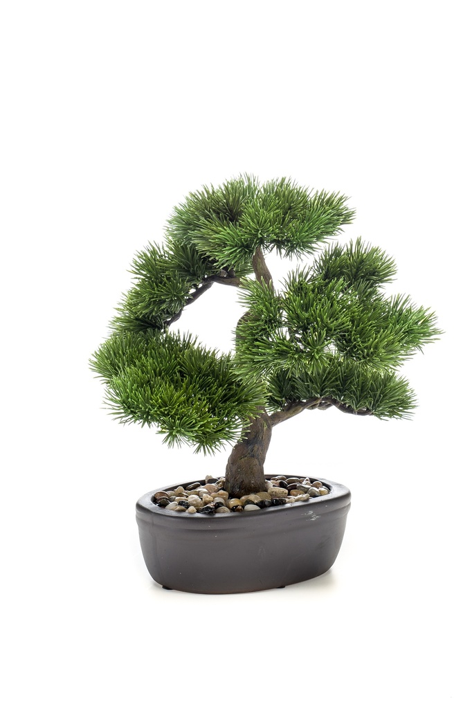 Bonsai Pin artificiel coupe ovale brune