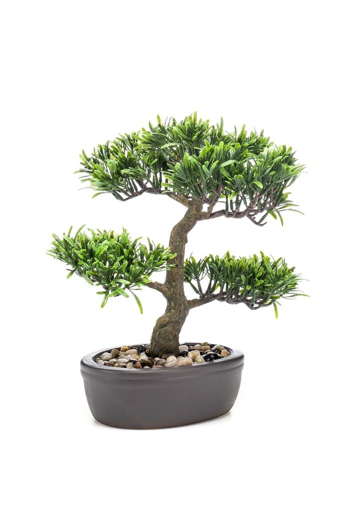 Bonsai Podocarpus artificiel coupe ovale brune