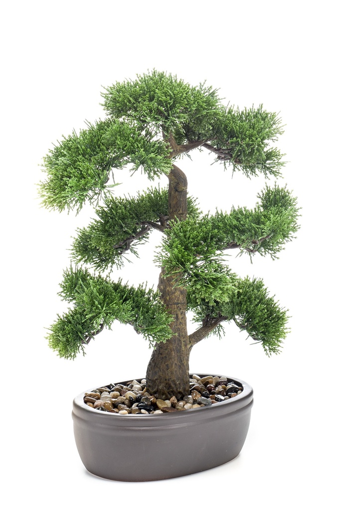 Bonsai Cèdre artificiel coupe ovale brune