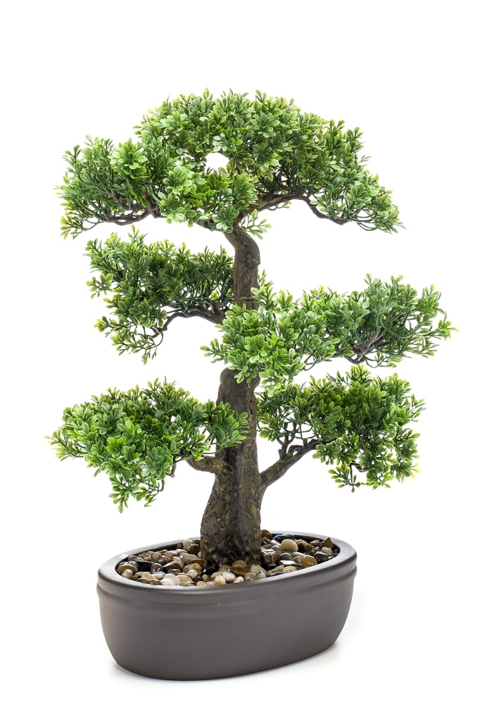 Bonsai Ficus artificiel coupe ovale brune