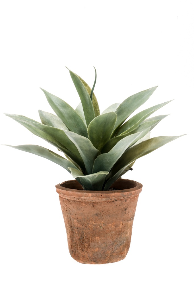 Agave en pot terre cuite artificielle