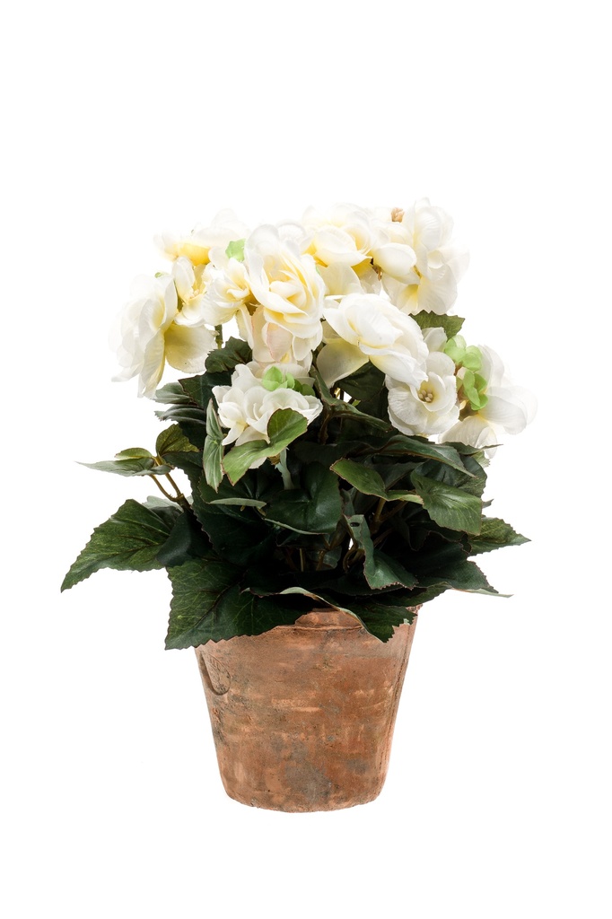 Bégonia en pot terre cuite artificiel