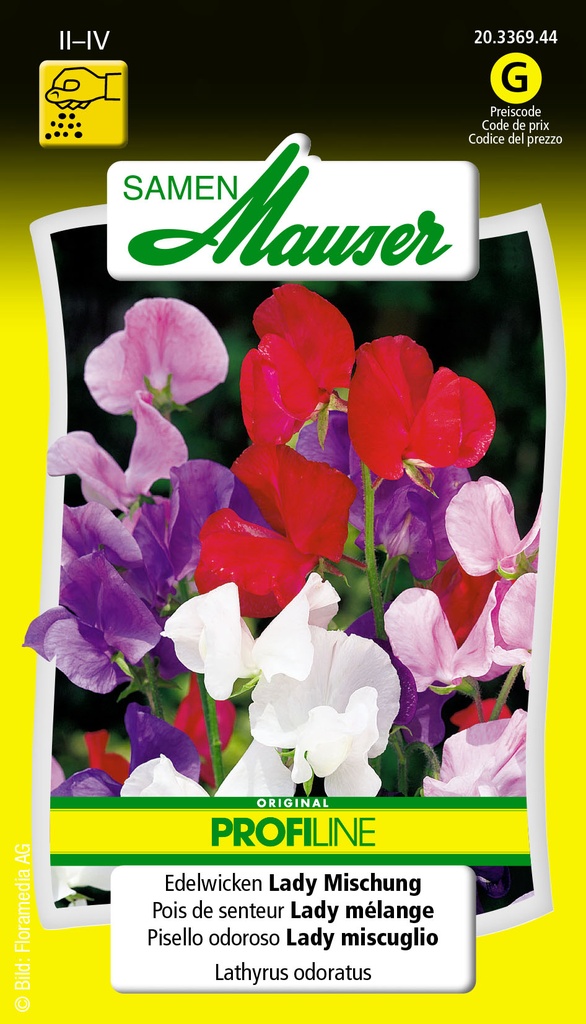 Pois de senteur Lady mélange