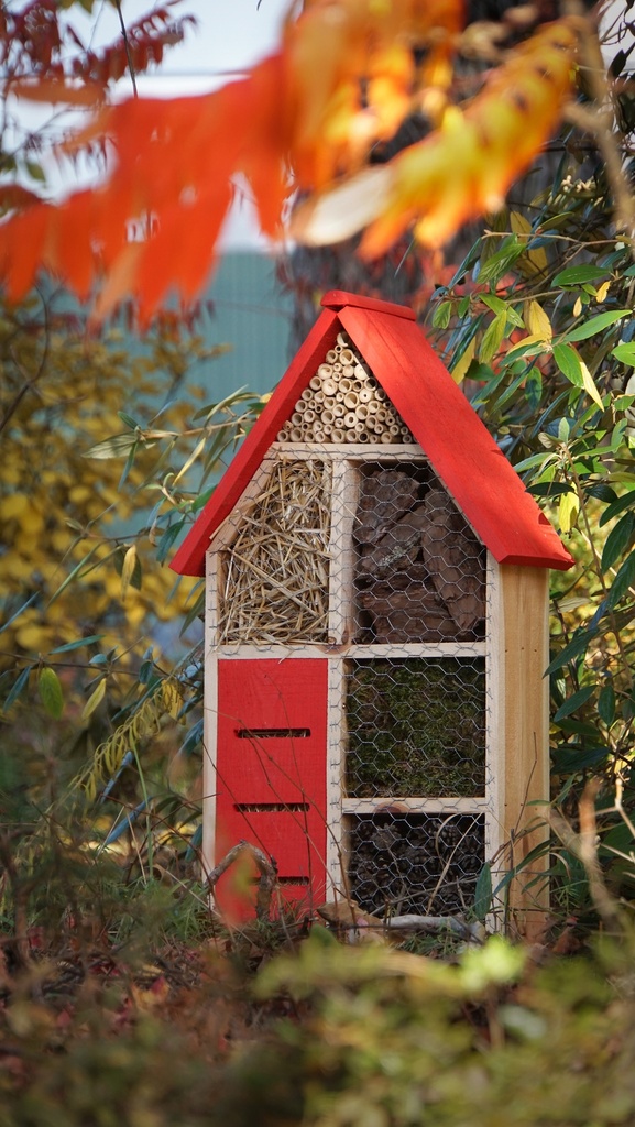 Hôtel à Insectes Belles combes