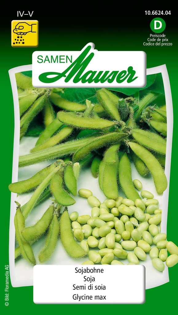 Soja glycine max