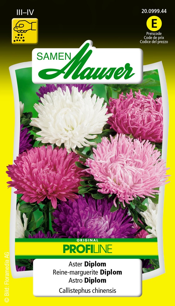 Reine-marguerite Selma diplome