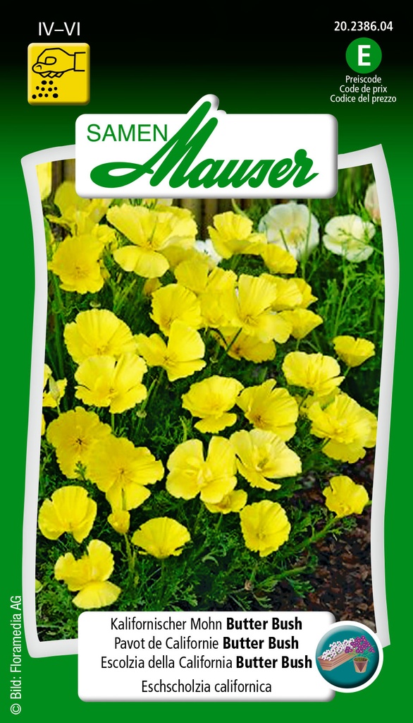 Pavo de californie  Buter bush