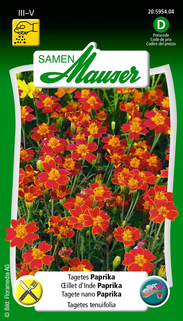 Tagéte Paprika