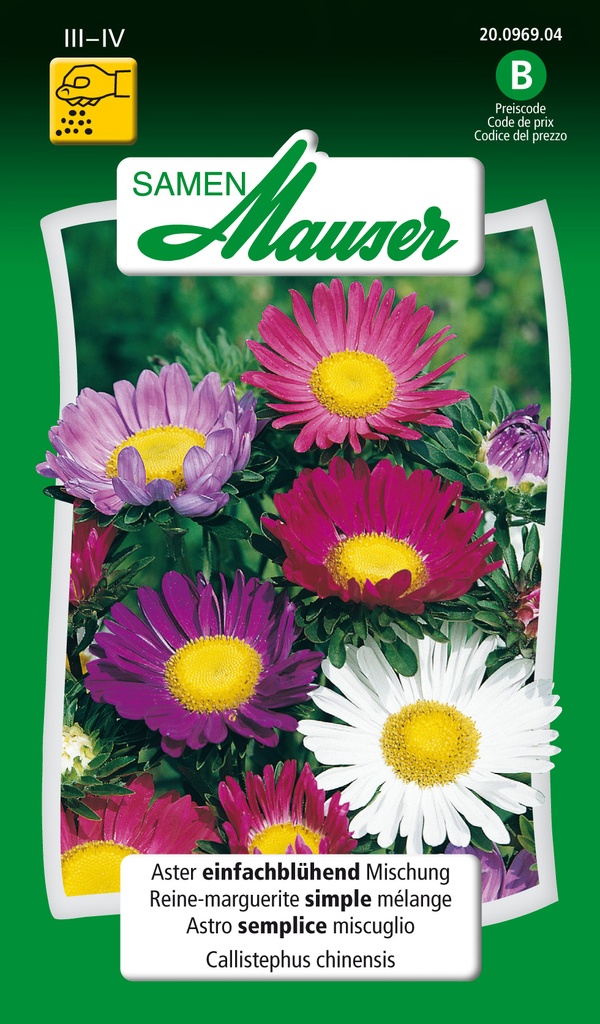 Reine-marguerite simple mélange