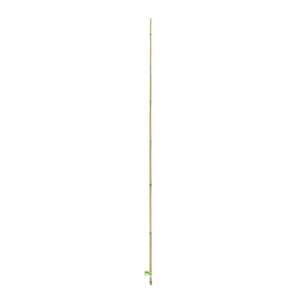 BAMBOO Tuteur bambou naturel lot 4 gencodé