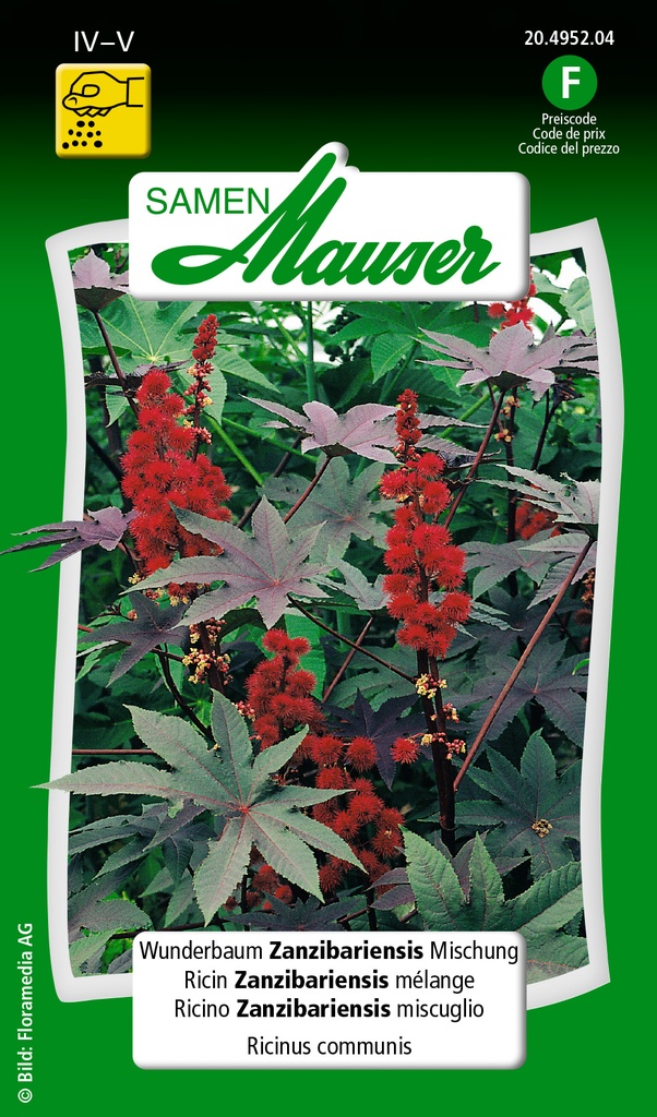 Ricin Zanzibariensis mélange