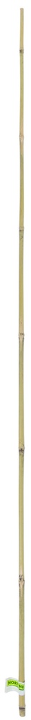 BAMBOO Tuteur bambou naturel lot 1 gencodé