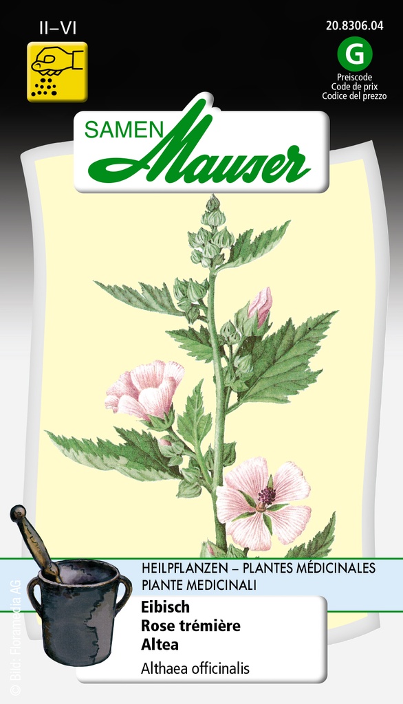 Rose trémière Guimauve Althaea Oficinalis