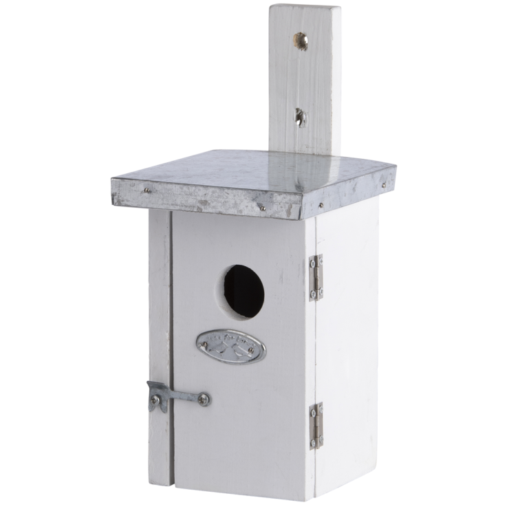 Nichoir roitelet blanc