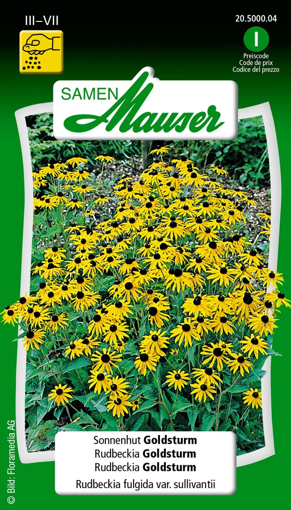 Rudbeckia fulgida goldsturm