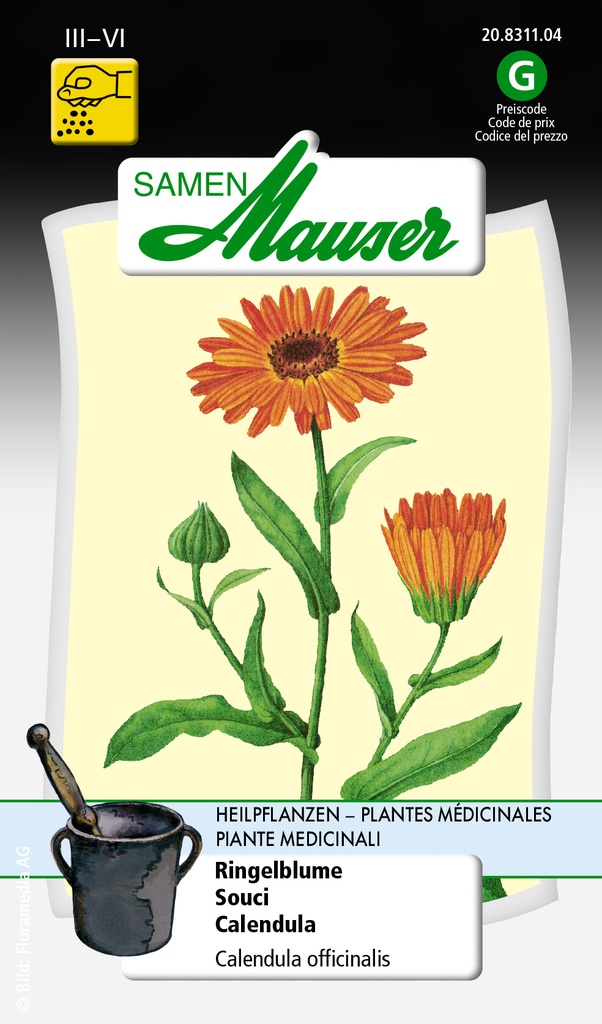 Souci Calendula officinalis