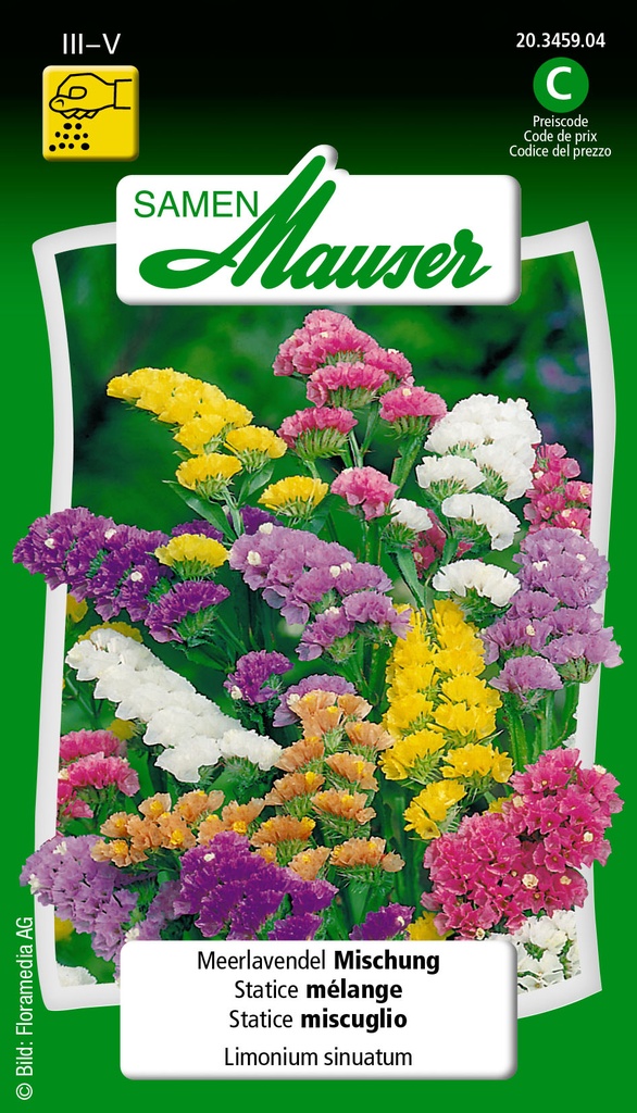 Statice sinuata mélange