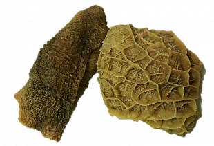 Tripes non lavées en morceaux