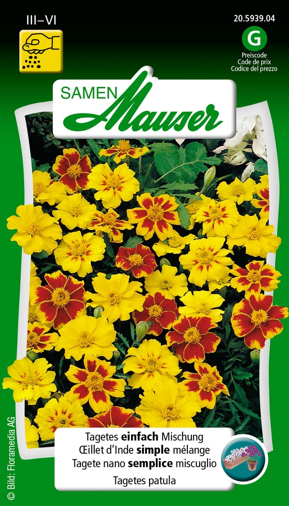 Tagetes patula simple mélange