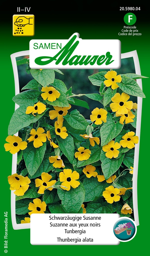 Suzanne aux yeux noirs