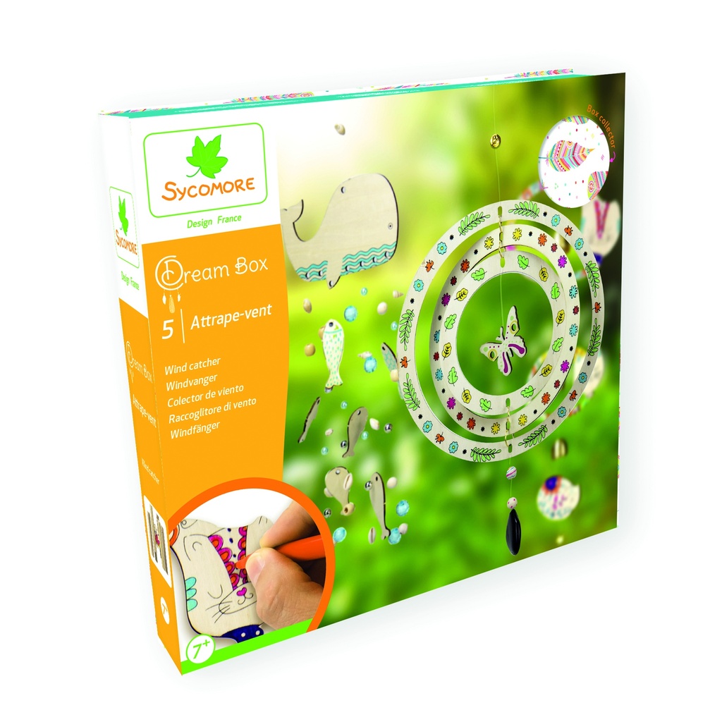 DREAM BOX GM - ATTRAPES VENT