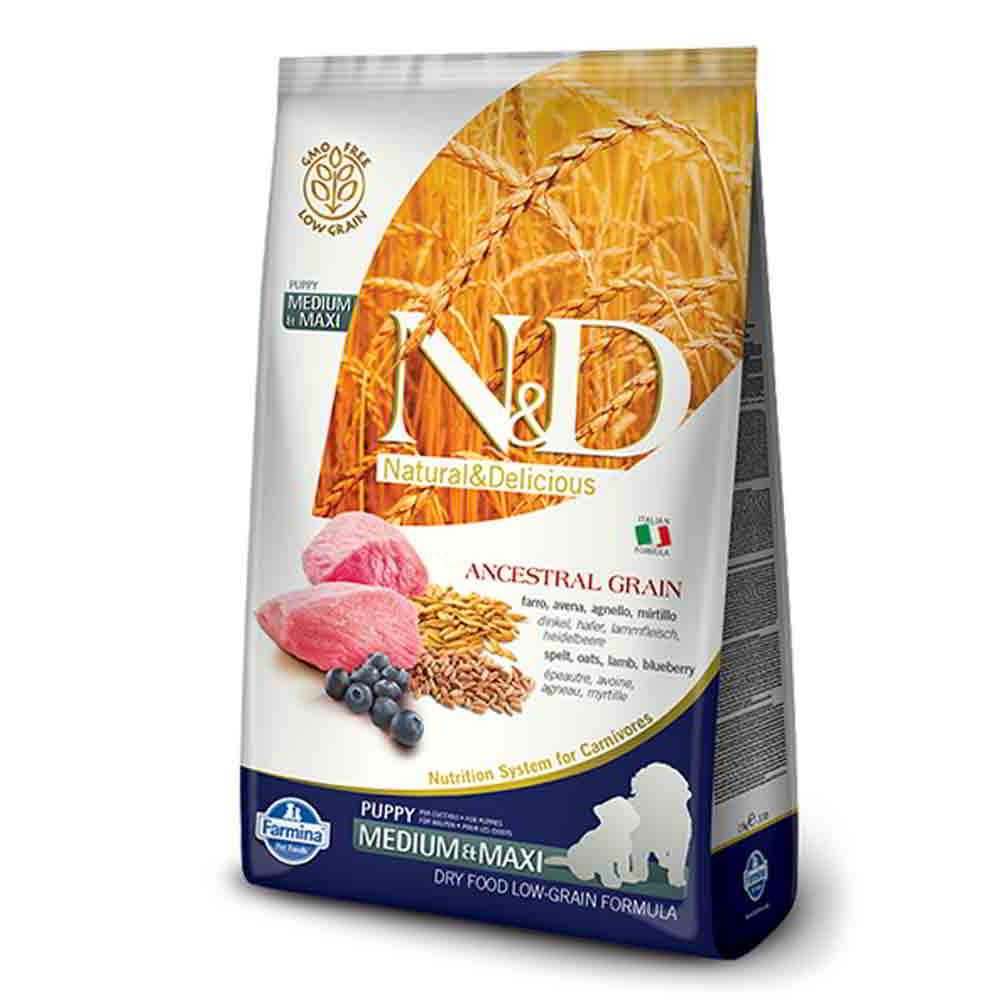 N&D PUMPKIN PUPPY Medium/Maxi Agneau & Myrtille 12kg