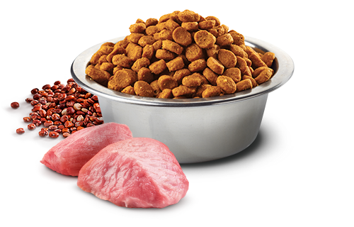 N&D QUINOA FELINE Weight Management Agneau & Brocoli 1.5kg