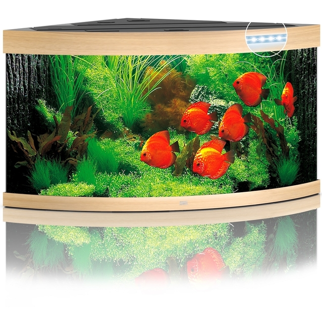Juwel Aquarium trigon 350 LED, chêne clair