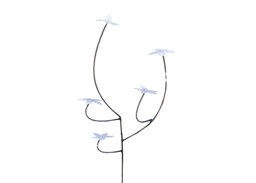 Fleur Blanche
