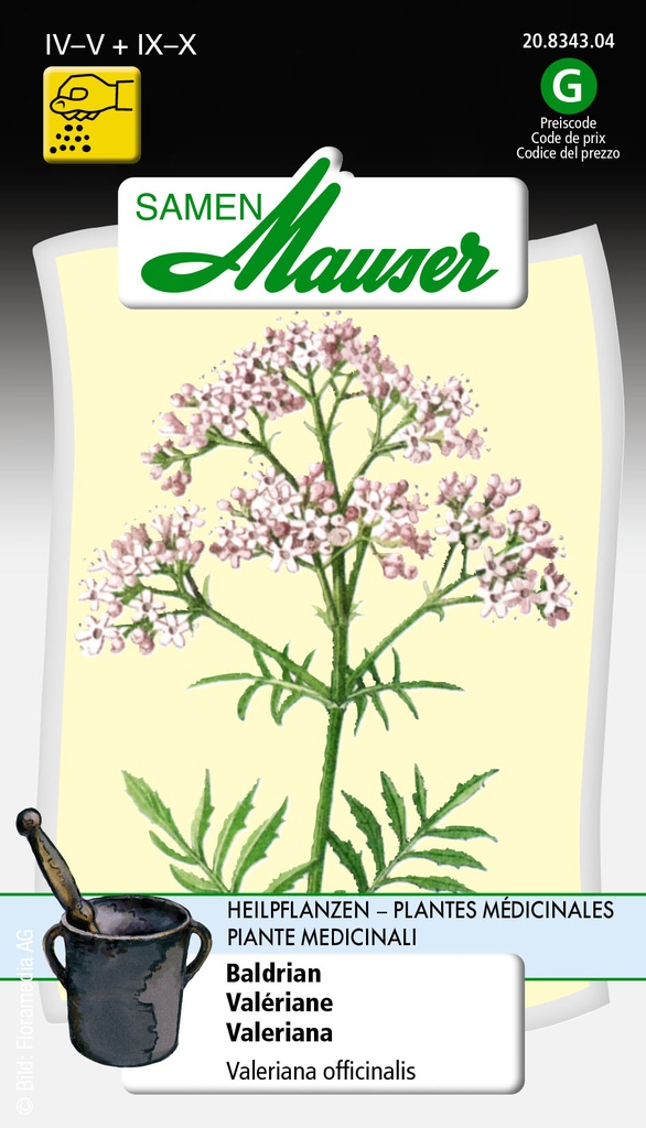 Valériane officinalis