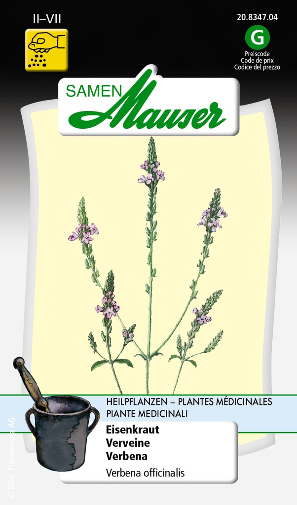 Verveine officinalis