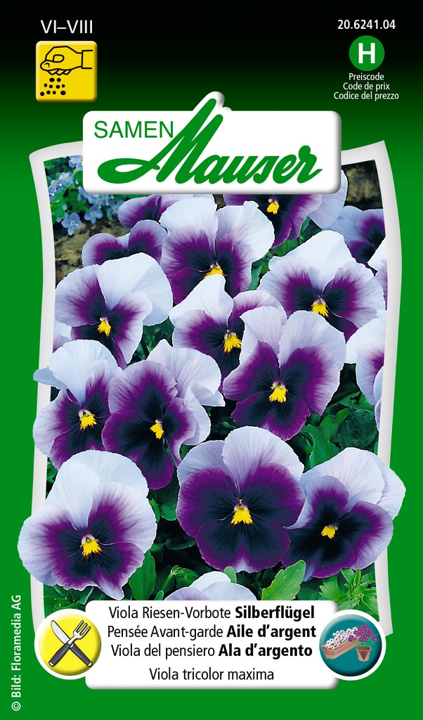 Pensée Avant-garde Aile d'Argent