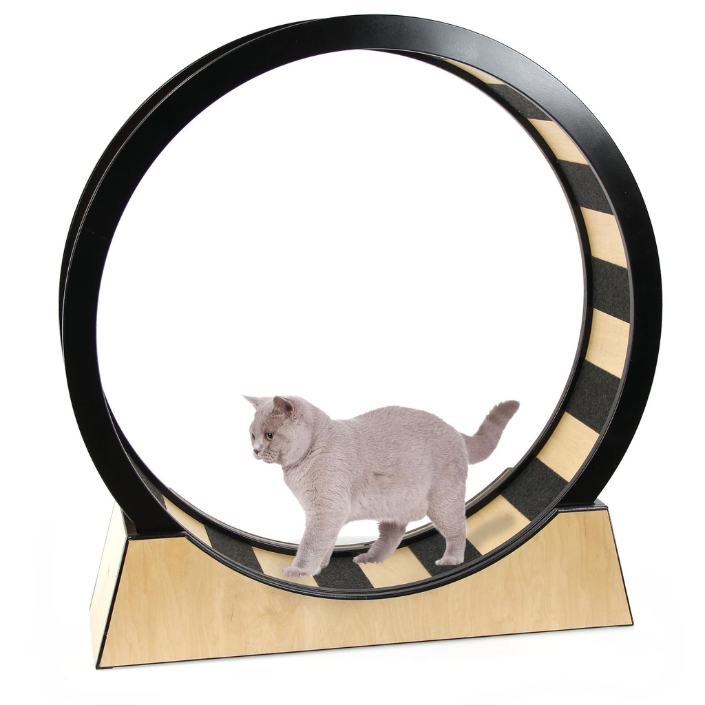 Roue à chat Monte Vigo nature